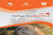 از هانتا ویروس چه می دانیم؟